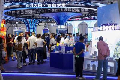 大同古城新韵 专业镇特色展芳华，产业升级绘新篇